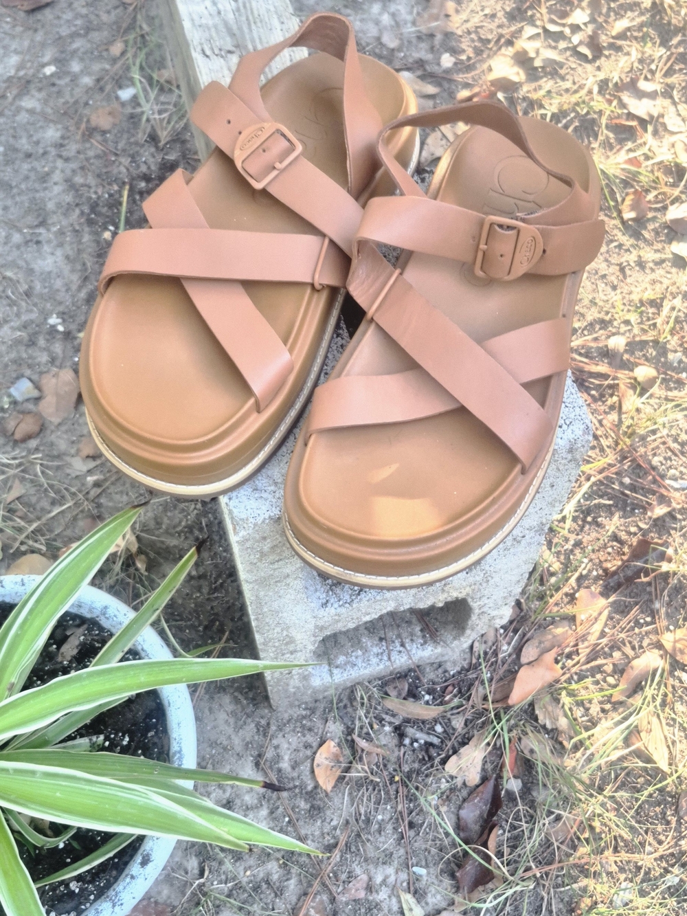 Chaco Women's Strappy Buckle Sandals in Tan Brown